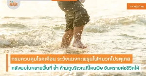 แมงกะพรุน